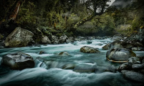 Gulliver River 02