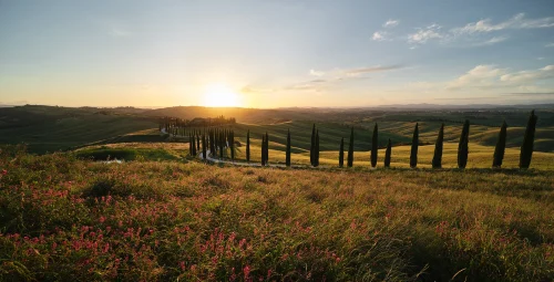 Baccoleno
