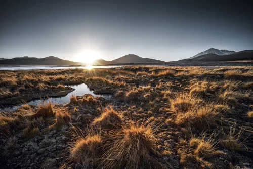 Salar de Talar