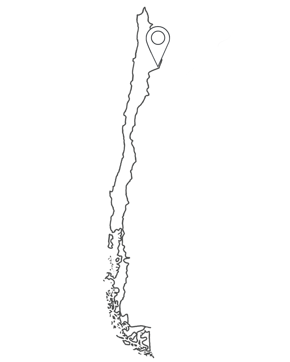 Salar_de_Talar-map
